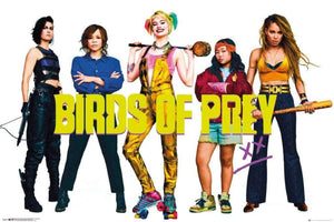 GBeye Birds of Prey Group Poster 91,5x61cm | Yourdecoration.com