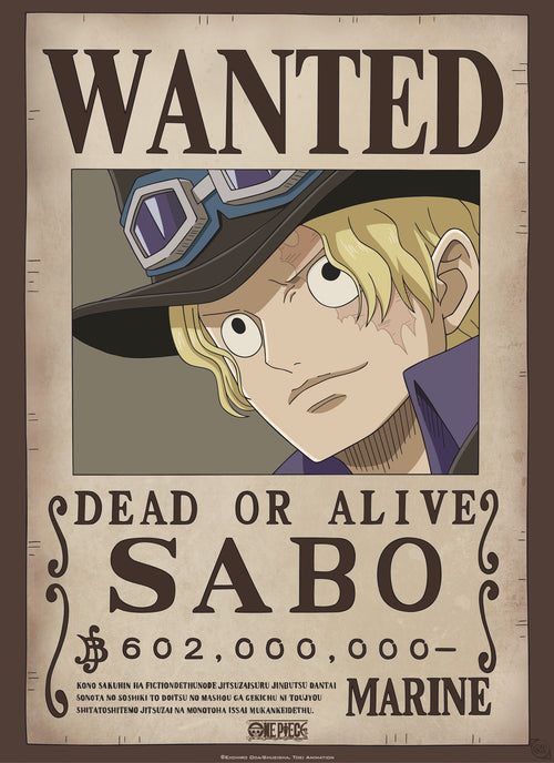 Gbeye Gbydco260 One Piece Wanted Poster 38x52cm | Yourdecoration.com