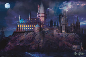 Grupo Erik GPE5367 Harry Potter Hogwarts Poster 91,5X61cm | Yourdecoration.com
