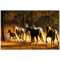 Grupo Erik GPE5532 Andalusian Horses Poster 91,5X61cm | Yourdecoration.com