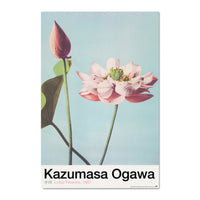 Grupo Erik Gpe5630 Poster Lotus Flowers By K Ogawa | Yourdecoration.com