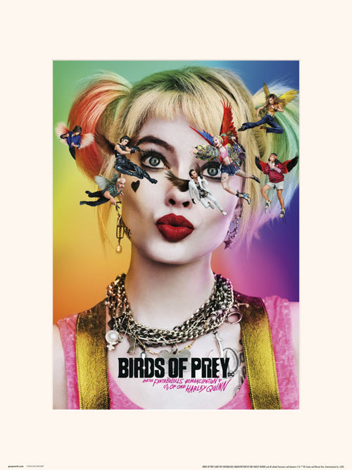 Grupo Erik Birds Of Prey Dazed And Confused Art Print 30x40cm | Yourdecoration.com