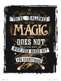 Grupo Erik Harry Potter Magic Art Print 30x40cm | Yourdecoration.com