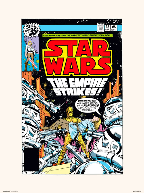 Grupo Erik Star Wars 18 The Empire Strikes Art Print 30x40cm | Yourdecoration.com