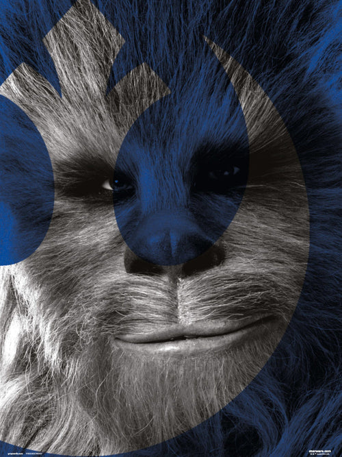 Grupo Erik Star Wars Episode Ix Chewbacca Art Print 30x40cm | Yourdecoration.com
