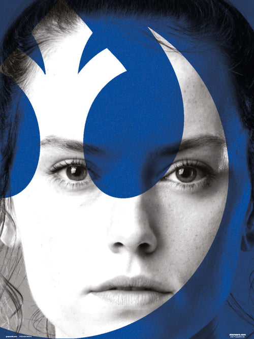 Grupo Erik Star Wars Episode Ix Rey Art Print 30x40cm | Yourdecoration.com