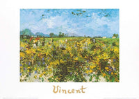 Vincent Van Gogh The Green Vineyard Art Print 70x50cm | Yourdecoration.com