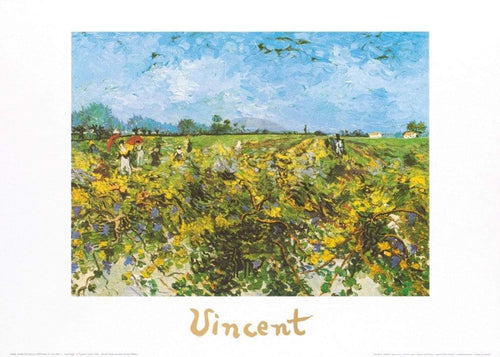 Vincent Van Gogh The Green Vineyard Art Print 70x50cm | Yourdecoration.com