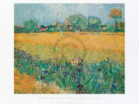 Vincent Van Gogh Vista di Arles Con Irises Art Print 80x60cm | Yourdecoration.com