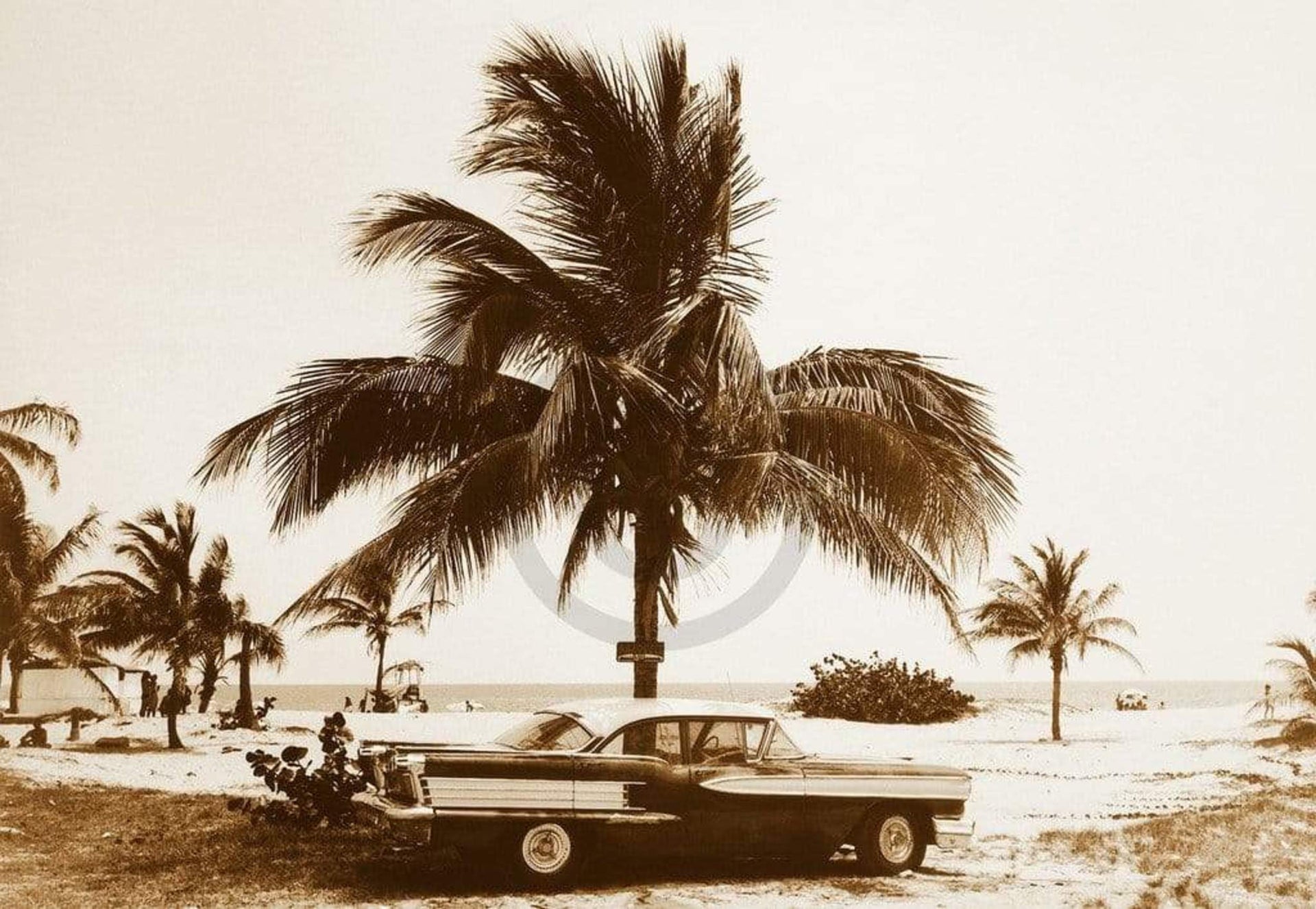 Barbara Dombrowski Havanna III Art Print 70x50cm | Yourdecoration.com