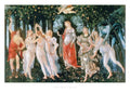 Sandro Botticelli Primavera Art Print 70x50cm | Yourdecoration.com