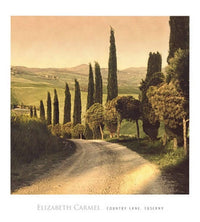 Elisabeth Carmel Country Lane, Tuscany Art Print 45x50cm | Yourdecoration.com