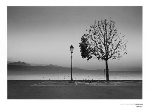 Christian Coigny Lutry Lac Lemon Art Print 80x60cm | Yourdecoration.com