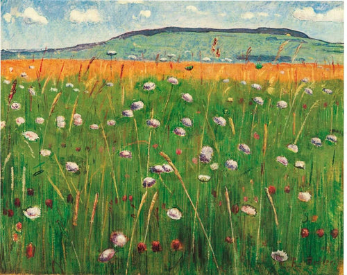 Ferdinand Hodler WiesenstÃ¼ck 1900/1902 Art Print 60x48cm | Yourdecoration.com