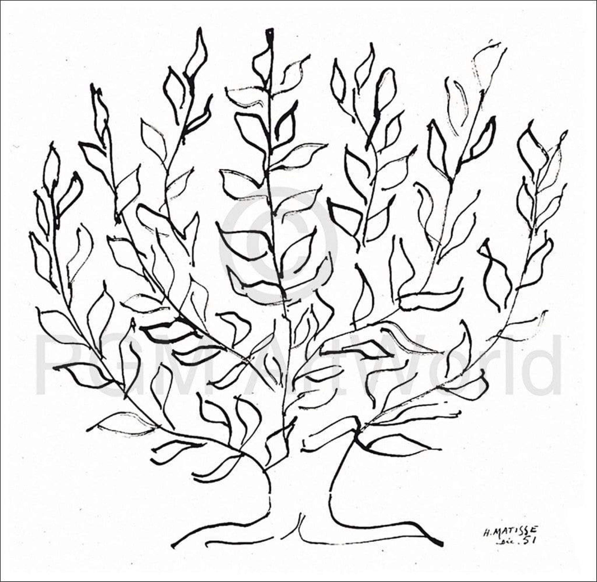 Henri Matisse Le platane Art Print 100x100cm | Yourdecoration.com