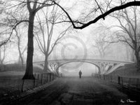 Henri Silberman Gothic Bridge, Central Park NYC Art Print 80x60cm | Yourdecoration.com