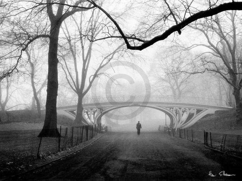 Henri Silberman Gothic Bridge, Central Park NYC Art Print 80x60cm | Yourdecoration.com