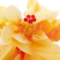 Ingrid Ulmer Bolero Art Print 50x50cm | Yourdecoration.com