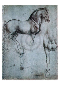 Leonardo Da Vinci Studio di cavalli Art Print 35x50cm | Yourdecoration.com