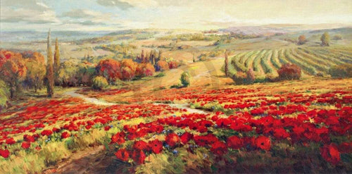 Roberto Lombardi Red Poppy Panorama Art Print 120x60cm | Yourdecoration.com