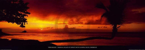 Tom Mackie Tropical Beach at Sunset Art Print 95x33cm | Yourdecoration.com