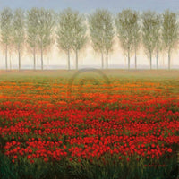 Park Morning Mist Art Print 68x68cm | Yourdecoration.com