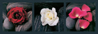 Laurent Pinsard Roses on stones Art Print 95x33cm | Yourdecoration.com