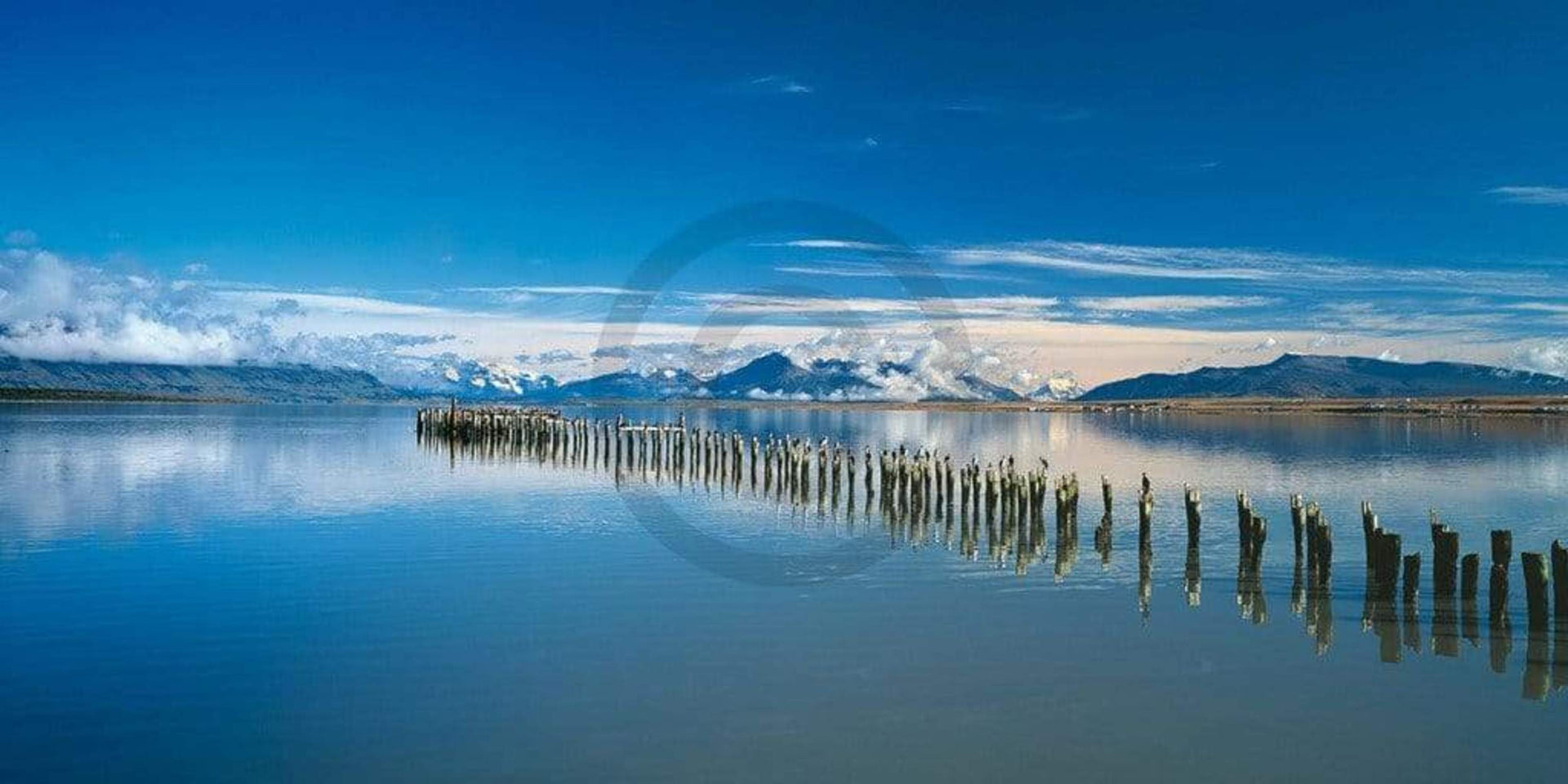 Popp Hackner KormorÃ¤ne Art Print 100x50cm | Yourdecoration.com