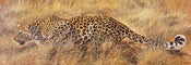 Renato Casaro Wanted Art Print 99x34cm | Yourdecoration.com