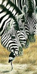 Renato Casaro Black and White Art Print 50x100cm | Yourdecoration.com