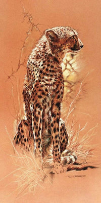 Renato Casaro Cheetah Art Print 50x100cm | Yourdecoration.com
