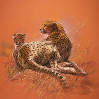Renato Casaro Cheetah Mother Art Print 50x50cm | Yourdecoration.com