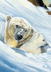 Renato Casaro Eisbär Mama Art Print 50x70cm | Yourdecoration.com