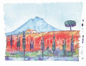 Ralf Westphal Soracte mit Mohnfeld/Latium Art Print 90x70cm | Yourdecoration.com