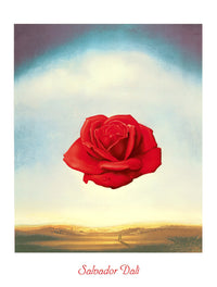 Salvador Dali Rose meditative Art Print 60x80cm | Yourdecoration.com