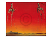 Salvador Dali Les Elephants Art Print 80x60cm | Yourdecoration.com
