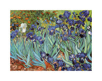 Vincent Van Gogh Iris Art Print 30x24cm | Yourdecoration.com