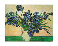 Vincent Van Gogh Iris Strauss, 1890 Art Print 50x40cm | Yourdecoration.com