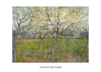 Vincent Van Gogh The Orchard Art Print 70x50cm | Yourdecoration.com