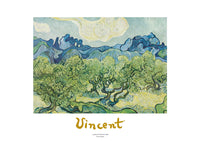 Vincent Van Gogh Landscapes with olive trees Art Print 70x50cm | Yourdecoration.com
