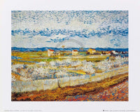 Vincent Van Gogh Pesco in fiore Art Print 30x24cm | Yourdecoration.com