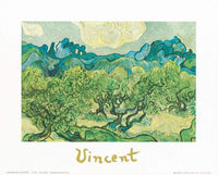 Vincent Van Gogh Landscapes with olive trees Art Print 30x24cm | Yourdecoration.com