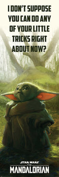 Pyramid Star Wars The Mandalorian Special Tricks Poster 53x158cm | Yourdecoration.com