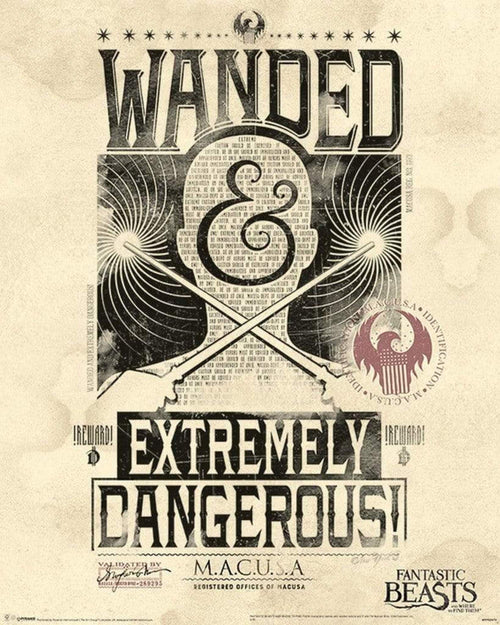 Pyramid Fantastic Beasts Extremely Dangerous Poster 40x50cm | Yourdecoration.com