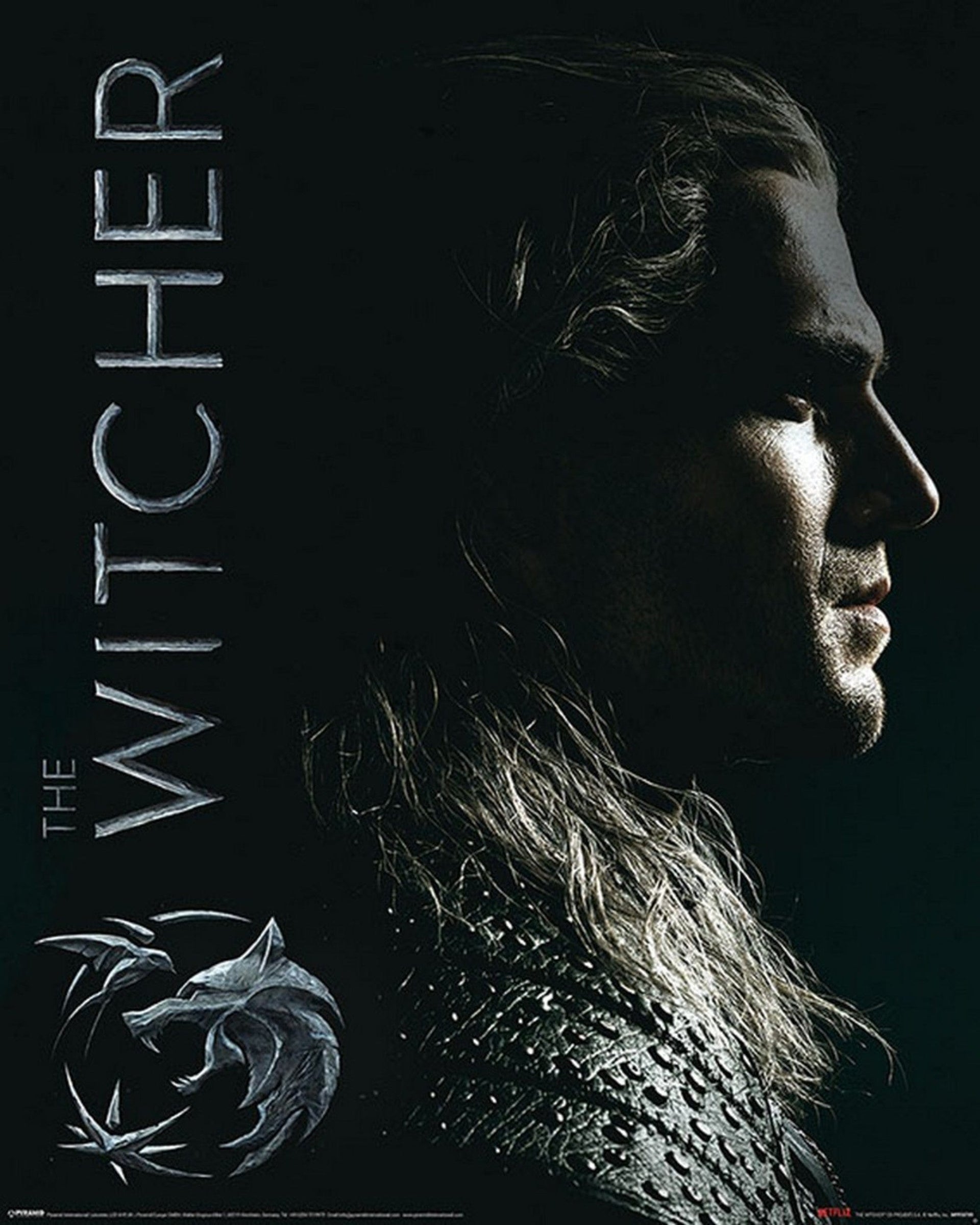 Pyramid The Witcher Shadows Embrace Poster 40X50cm | Yourdecoration.com