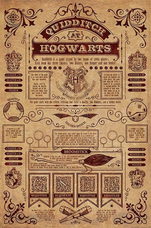 Pyramid Harry Potter Quidditch At Hogwarts Poster 61x91,5cm | Yourdecoration.com