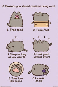 Pyramid Pusheen Reasons to be a Cat Poster 61x91,5cm | Yourdecoration.com
