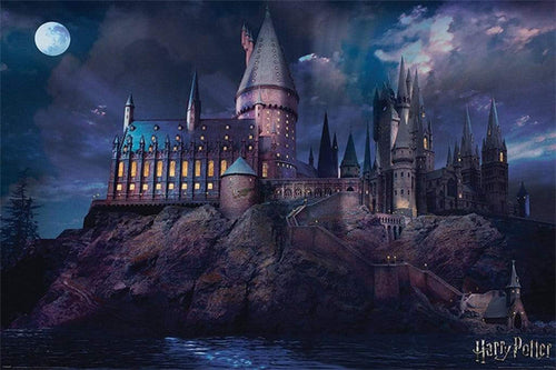 Pyramid Harry Potter Hogwarts Poster 91,5x61cm | Yourdecoration.com