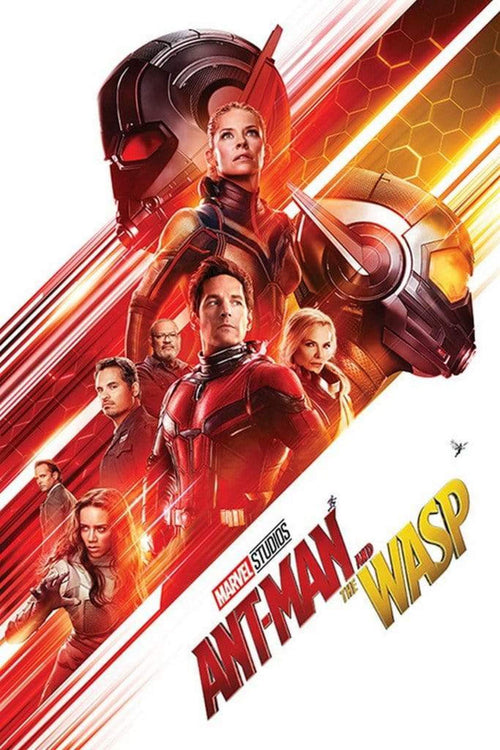 Pyramid Ant Man and the Wasp One Sheet Poster 61x91,5cm | Yourdecoration.com