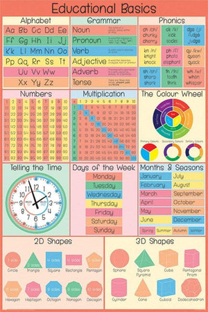 Pyramid Educational Basics Poster 61x91,5cm | Yourdecoration.com